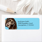 Duits Shorthaired Pointer Carrion Etiket (Insitu)