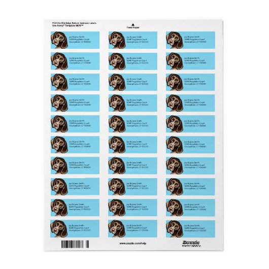 Duits Shorthaired Pointer Carrion Etiket (Full Sheet)