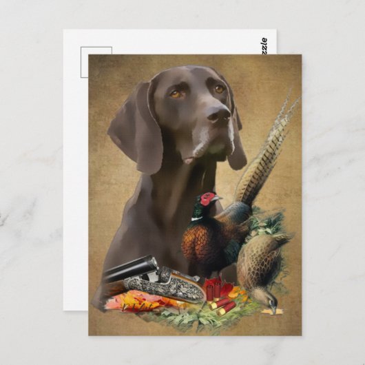 Duits Shorthaired Pointer GSP Briefkaart (Voorkant / Achterkant)