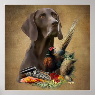Duits Shorthaired Pointer GSP Poster
