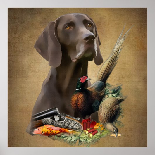 Duits Shorthaired Pointer GSP Poster (Voorkant)