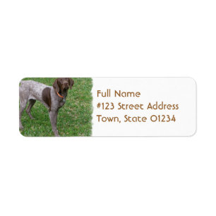 Duits Shorthaired Pointer-label Etiket