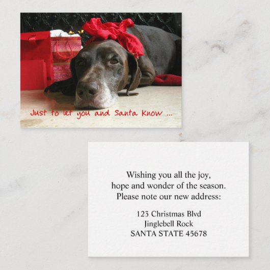 Duits Shorthaired Pointer Nieuw adres Informatiekaartje (Voorkant / Achterkant)