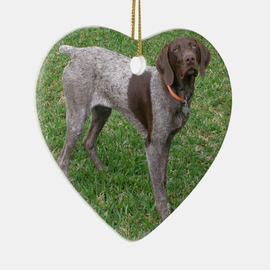 Duits Shorthaired Pointer Ornament (Rechts)