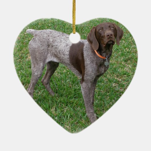 Duits Shorthaired Pointer Ornament (Achterkant)