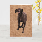 Duits Shorthaired Pointer Pet lover Kaart (Gele Bloem)