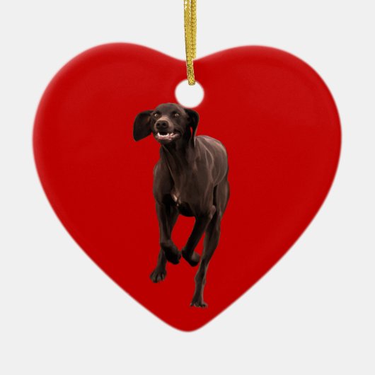 Duits Shorthaired Pointer Pet lover Keramisch Ornament (Voorkant)