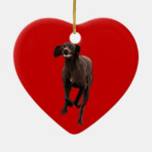 Duits Shorthaired Pointer Pet lover Keramisch Ornament (Achterkant)