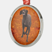 Duits Shorthaired Pointer Pet lover Metalen Ornament (Links)