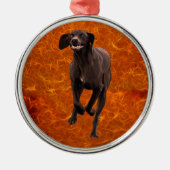 Duits Shorthaired Pointer Pet lover Metalen Ornament (Voorkant)