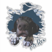 Duits Shorthaired Pointer Sticker (Voorkant)