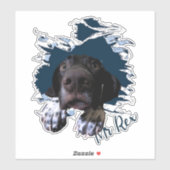 Duits Shorthaired Pointer Sticker (Vel)