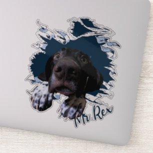 Duits Shorthaired Pointer Sticker