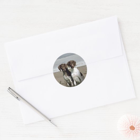 Duits Shorthaired Pointer Sticker (Envelop)