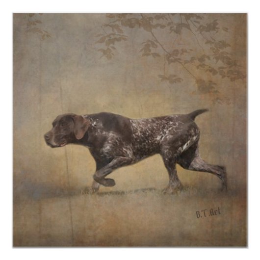 Duits Shorthaired Pointer — Tapestry Perfect Poster (Voorkant)