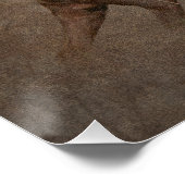 Duits Shorthaired Pointer — Tapestry Perfect Poster (Hoek)