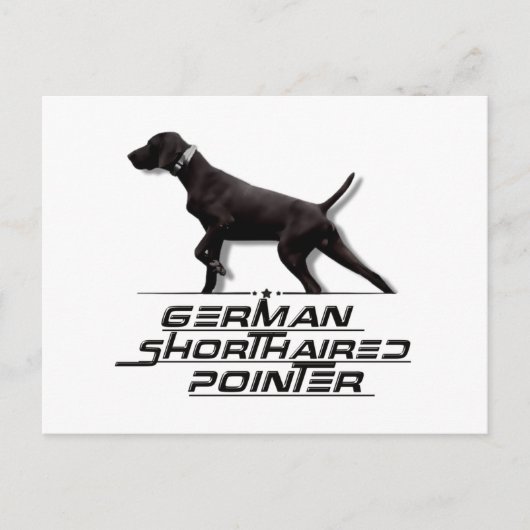 Duits Shorthaired Pointer Tapestry Square Sticker Briefkaart (Voorkant)