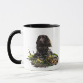 Duits-Spanjaard, Wachtelhund Mok (Links)