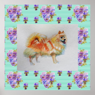 Duits Spitz Pomeranian Dog art Painting Poster