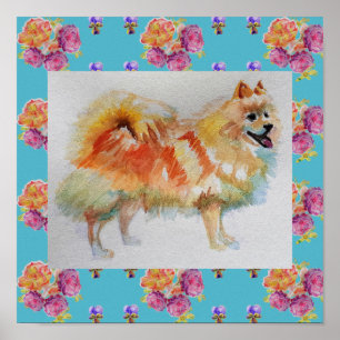 Duits Spitz Pommeren Roos Poster