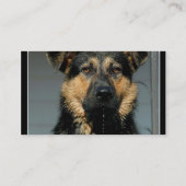 Duits Visitekaartje Shepherd (Achterkant)