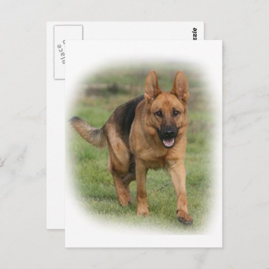 Duits Vrouw Shepherd "Gilla" Briefkaart (Voorkant / Achterkant)