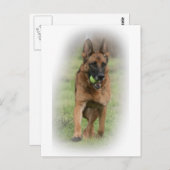 Duits Vrouw Shepherd "Vita" Briefkaart (Voorkant / Achterkant)