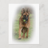 Duits Vrouw Shepherd "Vita" Briefkaart (Voorkant)