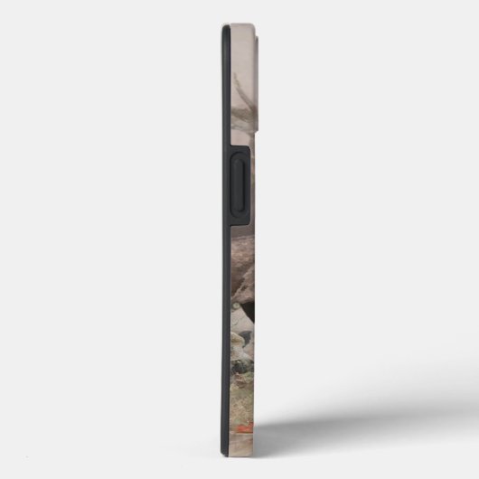 Duits Wirehaered Hoesje-Mate iPhone Case (Achterkant / Rechts)