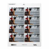 Duitse Adresetiketten van schapen Etiket (Full Sheet)