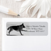 Duitse Adresetiketten van schapen Etiket (Insitu)