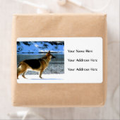 Duitse Adresetiketten van schapen Etiket (Insitu)