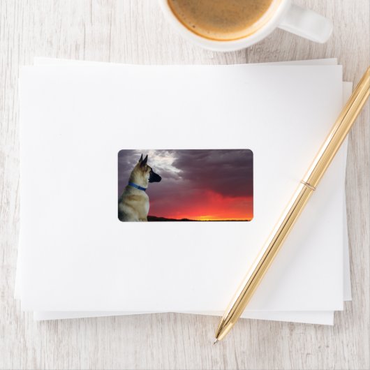 Duitse Adresetiketten van schapen Etiket (Insitu)