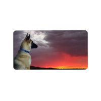 Duitse Adresetiketten van schapen