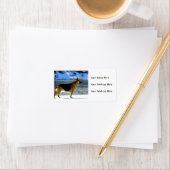 Duitse Adresetiketten van schapen Etiket (Insitu)