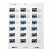 Duitse Adresetiketten van schapen Etiket (Full Sheet)