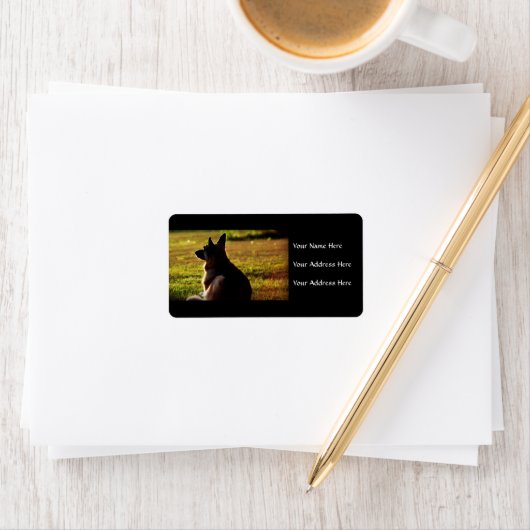 Duitse Adresetiketten van schapen Etiket (Insitu)