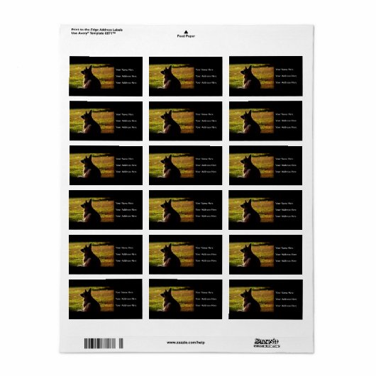 Duitse Adresetiketten van schapen Etiket (Full Sheet)