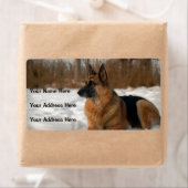 Duitse Adresetiketten van schapen Etiket (Insitu)