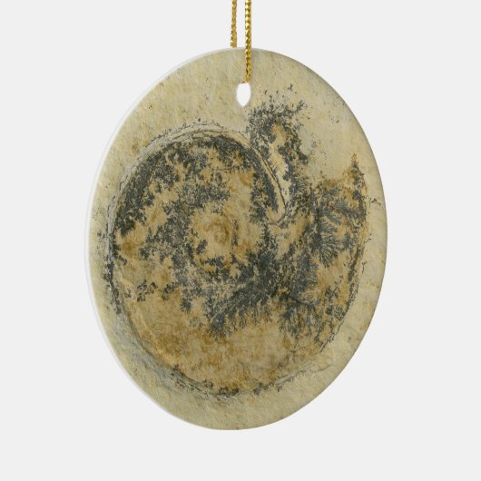 Duitse Ammoniet met Dendrites Keramisch Ornament (Rechts)