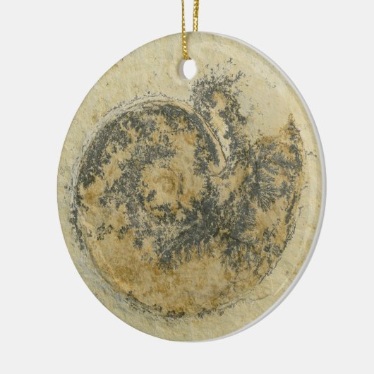 Duitse Ammoniet met Dendrites Keramisch Ornament (Links)