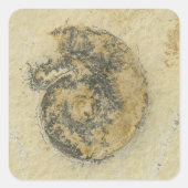 Duitse Ammoniet met Dendrites Vierkante Sticker (Voorkant)