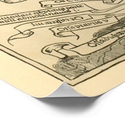  Duitse anatomie Afdruk van Botten Skelet Poster (Hoek)