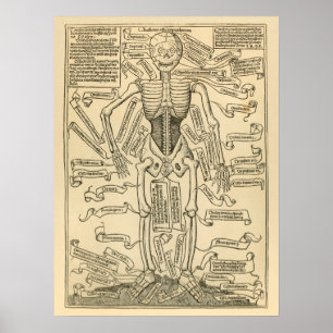 Duitse anatomie Afdruk van Botten Skelet Poster