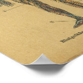  Duitse anatomie Print Arteries Nerves (Hoek)