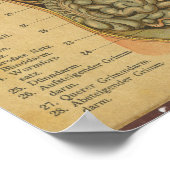  Duitse anatomie Print interne organen (Hoek)