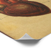  Duitse anatomie Print interne organen (Hoek)