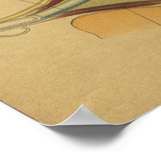  Duitse anatomie printoog Poster (Hoek)