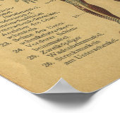 Duitse anatomie printspieren Poster (Hoek)