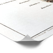  Duitse anatomiegrafiek Poster (Hoek)